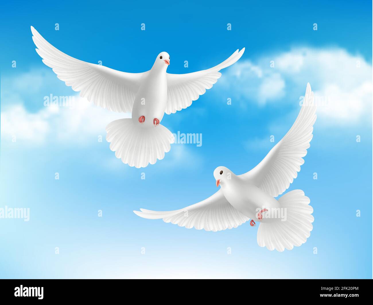 Vogel in Wolken. Fliegende weiße Tauben in blauem Himmel friedliches Religionskonzept mit realistischem Vogelvektorhintergrund Stock Vektor