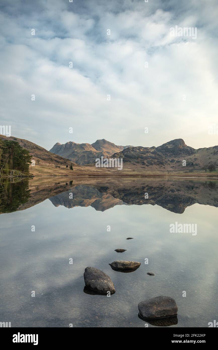 Perfekte Spiegelreflexionen der Langdale Pikes in Blea Tarn Kurz nach Sonnenaufgang im Frühling Stockfoto