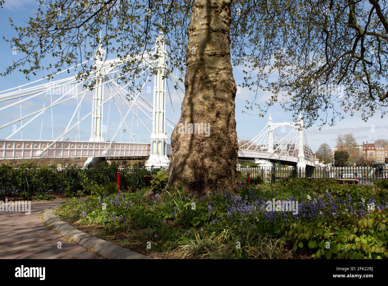 Albert Bridge mit blauem Himmel und weißen Wolken Stockfoto