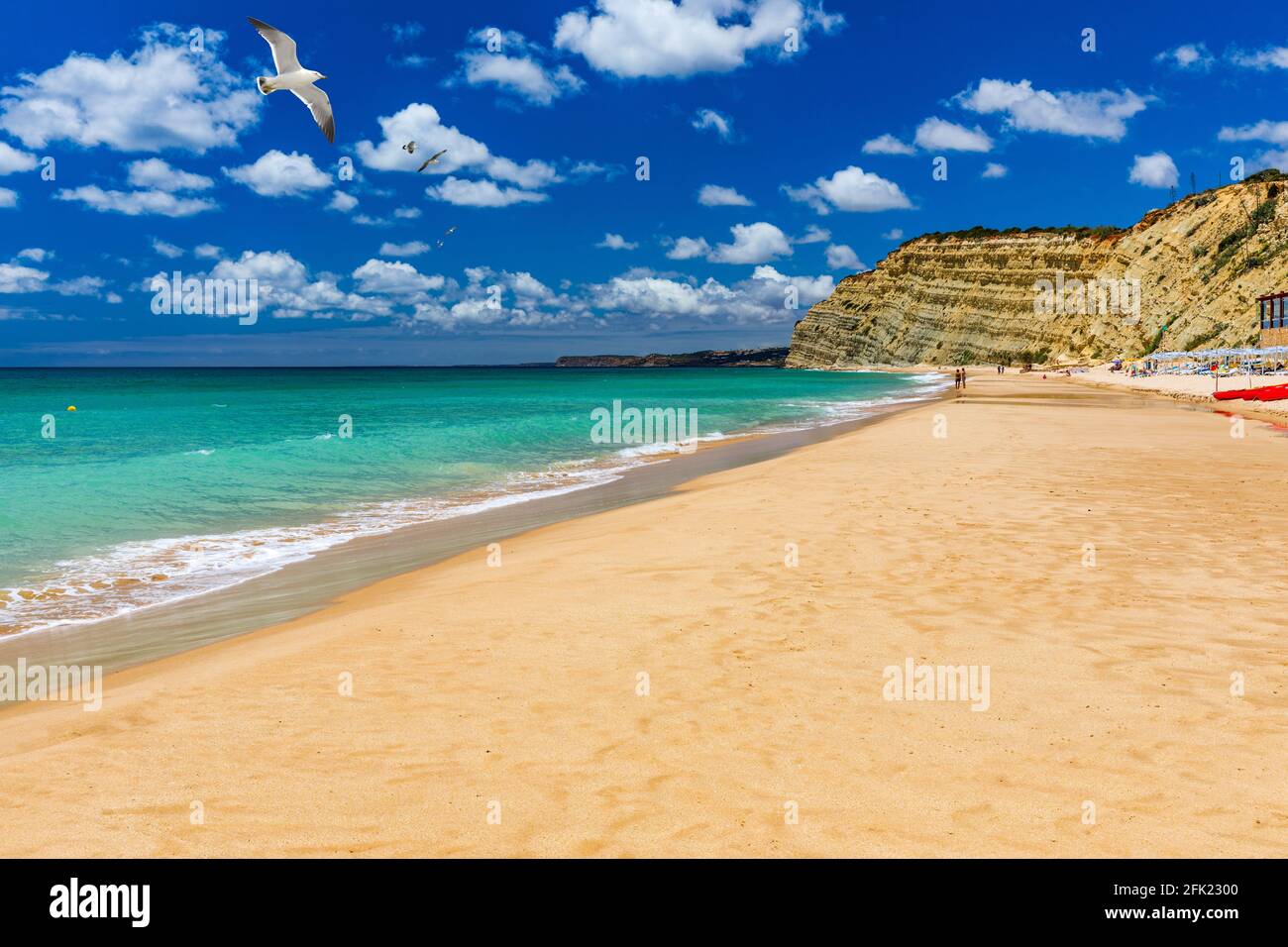 Praia de Porto de Mos mit Möwen über den Strand, Lagos, Portugal fliegen. Praia do Porto de Mos, Long Beach in Lagos, Algarve, Portugal. Stockfoto