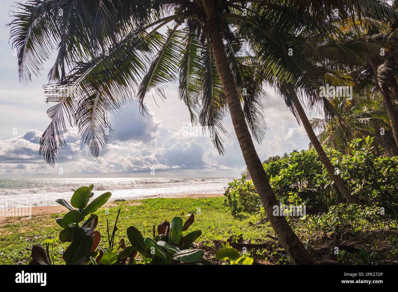 Blick auf das Meer aus dem Dschungel im tropischen Teil von Axim Ghana Westafrika Stockfoto
