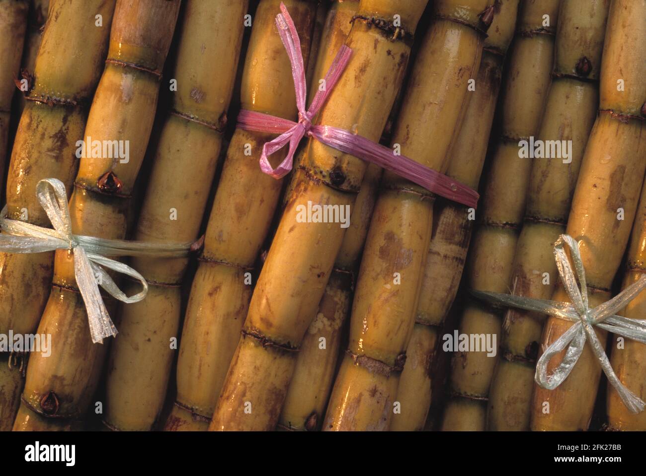 Singapur. Marktstand. Bündeln von Zuckerrohr. Stockfoto