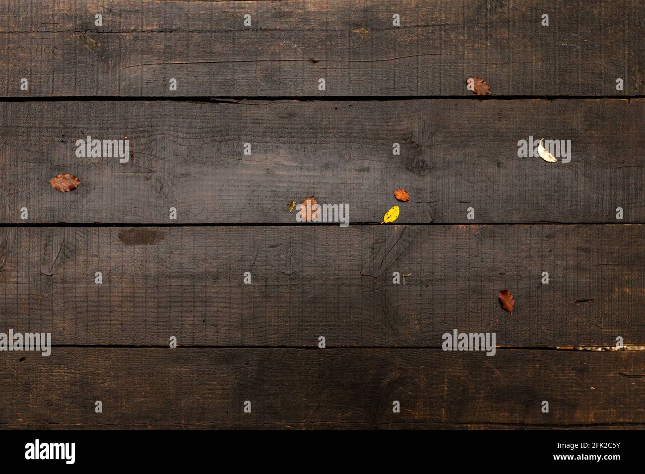 Herbstkonzept. Dunkler nasser Holztisch mit einigen braunen und gelben Blättern auf der Oberseite. Textur für den Hintergrund. Stockfoto