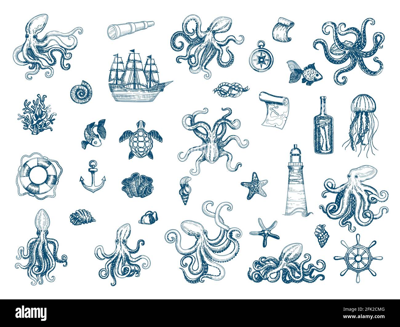 Illustrationen zum Meer. Octopus nautischen Satz wild Tintenfisch Muscheln Monster kraken Vektor handgezeichnete Sammlung Stock Vektor