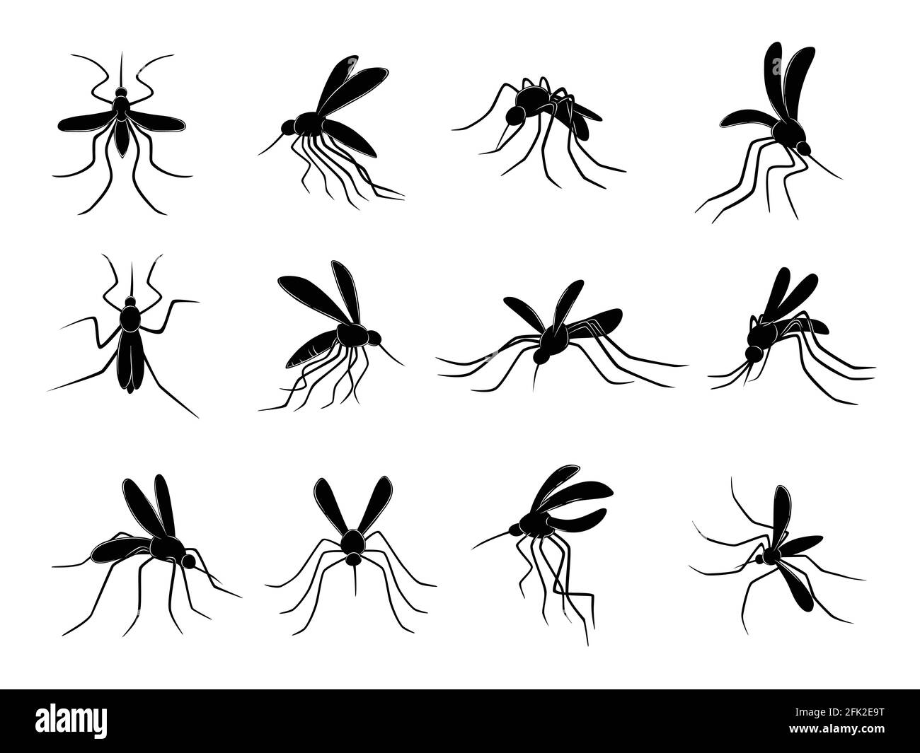 Moskito. Fliegende Insekten Träger von Viren Blutsauger Vektor gezeichnet Moskitos Stock Vektor