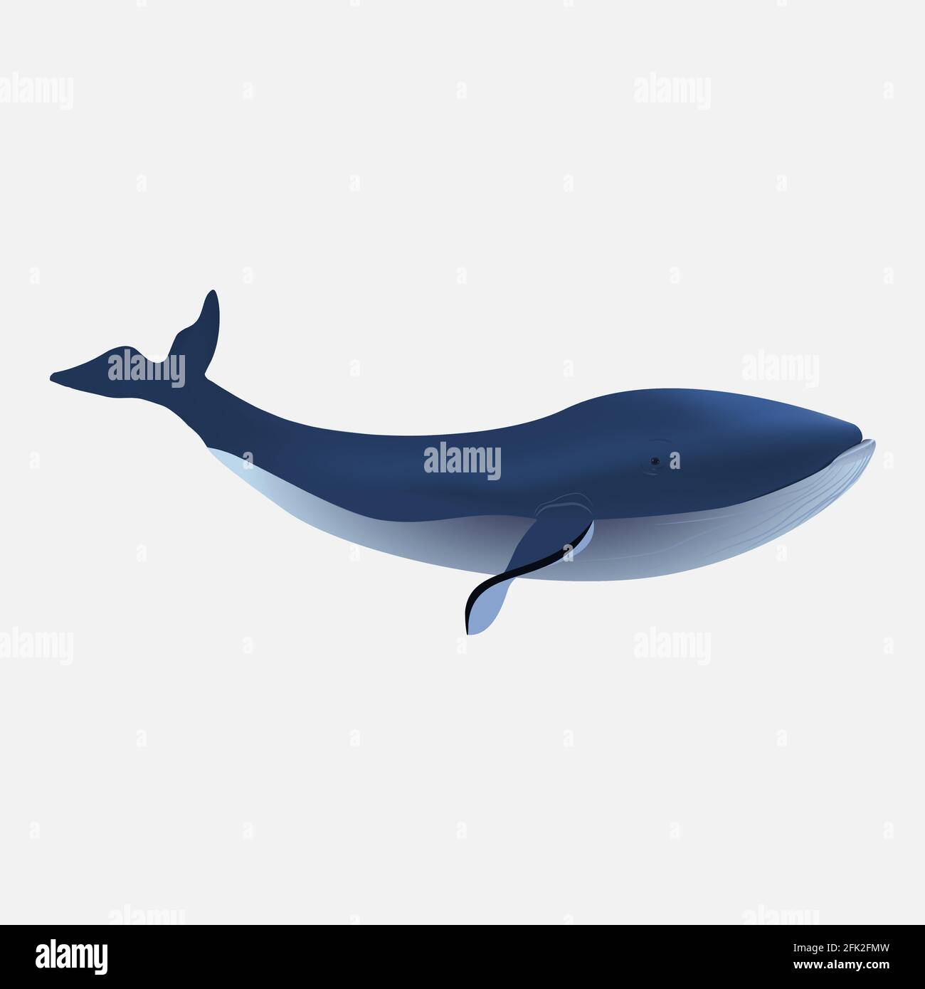 Großes blaues Walsymbol auf weißem Hintergrund isoliert. Stock Vektor