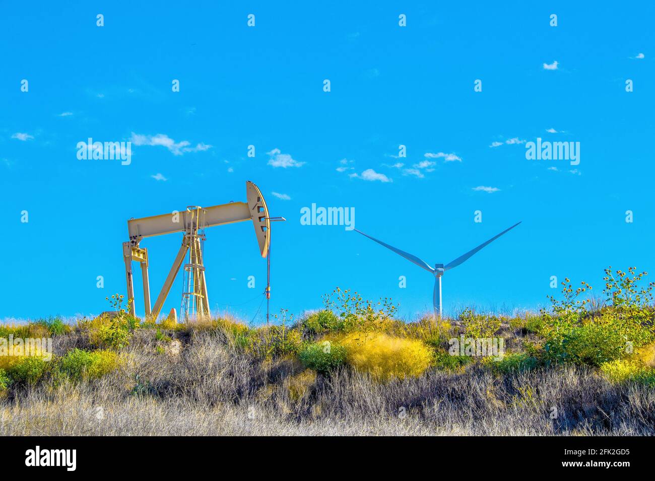 Gelber Ölbrunnen-Pumpenheber sitzt auf dem Grat mit bunten Blumen und Folliage mit riesigen industriellen Windmühle guckt über die Horizont gegen Beautifu Stockfoto
