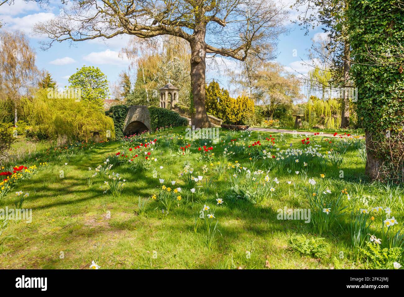 Bunte Narzissen und Tulpen, Torheit und Steinbrücke beim Frühlingsfest im Dunsborough Park, Ripley, Surrey, Südostengland im April Stockfoto