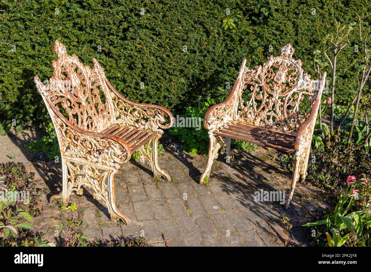 Ein Paar schäbige, schicke, dekorative, rostende, weiß lackierte Metallstühle im Garten im Dunsborough Park, Ripley, Surrey, Südostengland Stockfoto