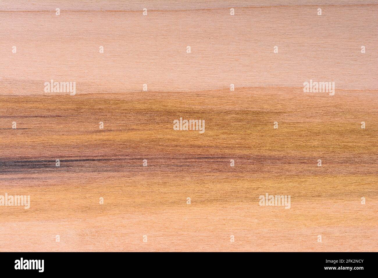 Horizontales Muster aus Pappelholz mit Farbchips, das eine Reihe von hellen bis dunkelvioletten Farben zeigt. Stockfoto