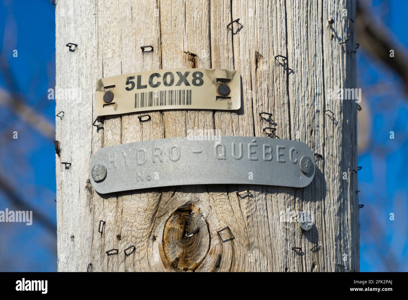 Nahaufnahme eines hölzernen Pfostens mit einem Nummernschild und einem Metallschild, das Hydro-Québec identifiziert wurde. Stockfoto