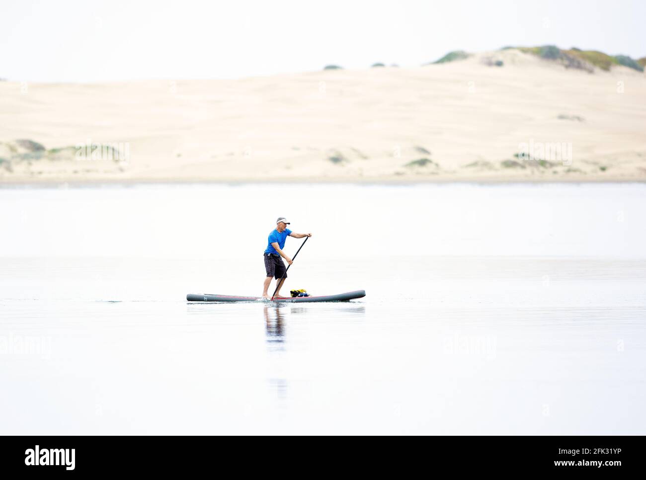 Man Paddle Boarding Morro Bay Marina Stockfoto