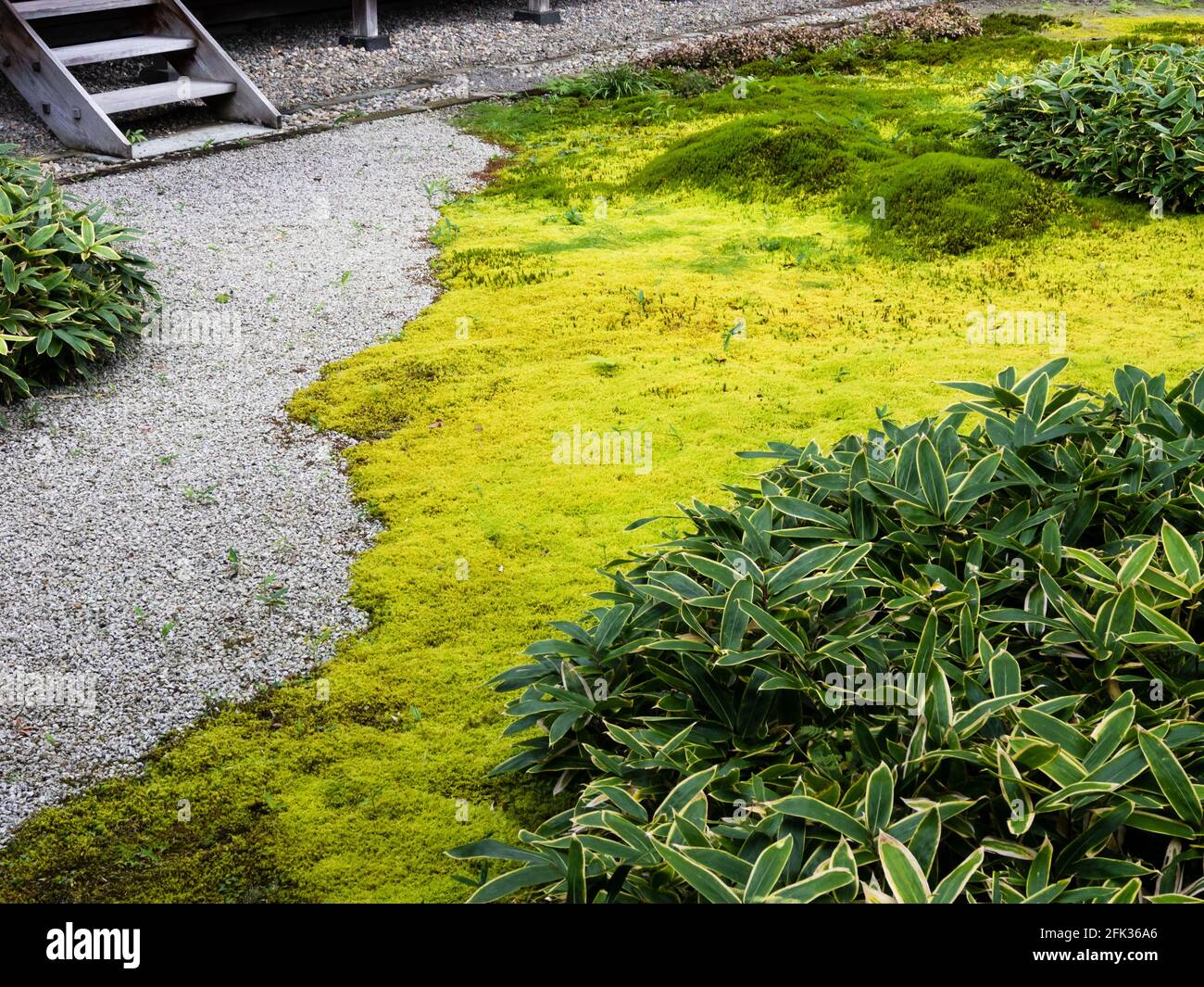 Grüner Moos- und Kiesweg im traditionellen japanischen Garten Stockfoto