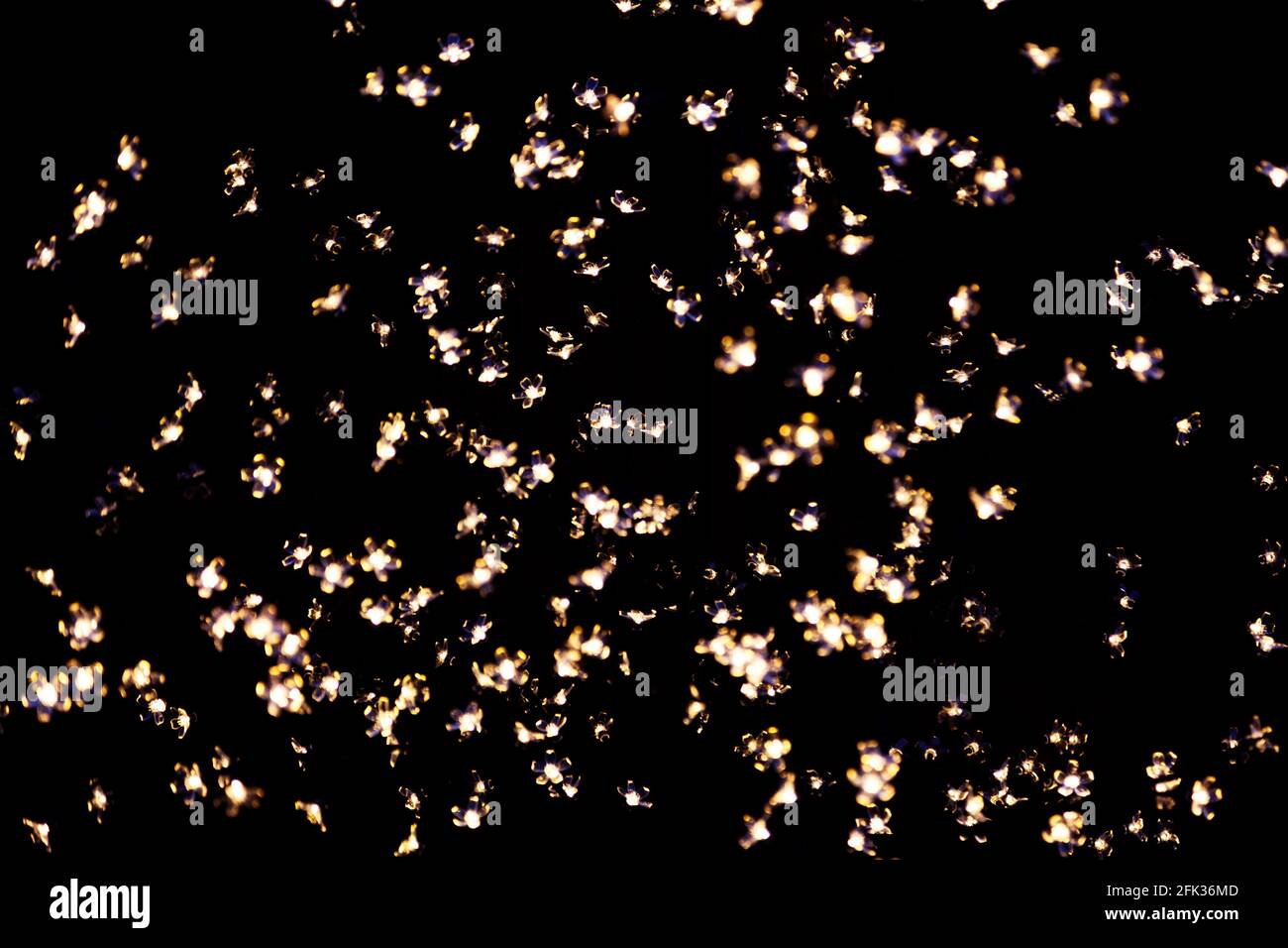 Weihnachtslichter, die Blumen darstellen, bilden abstrakte Muster gegen das Schwarz Stockfoto