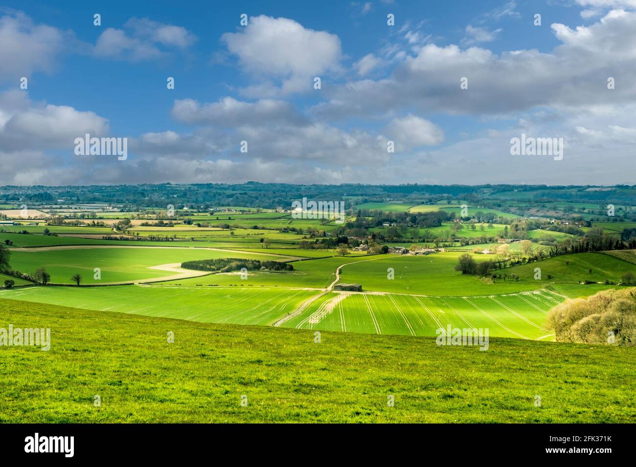 Blick über Cranborne Chase. Stockfoto