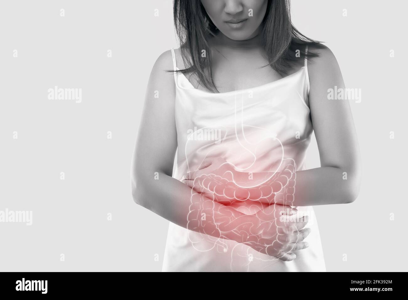 Darstellung des Darms und der inneren Organe im Frauenkörper vor grauem Hintergrund und Space links. Das Konzept der medizinischen Behandlung Stockfoto