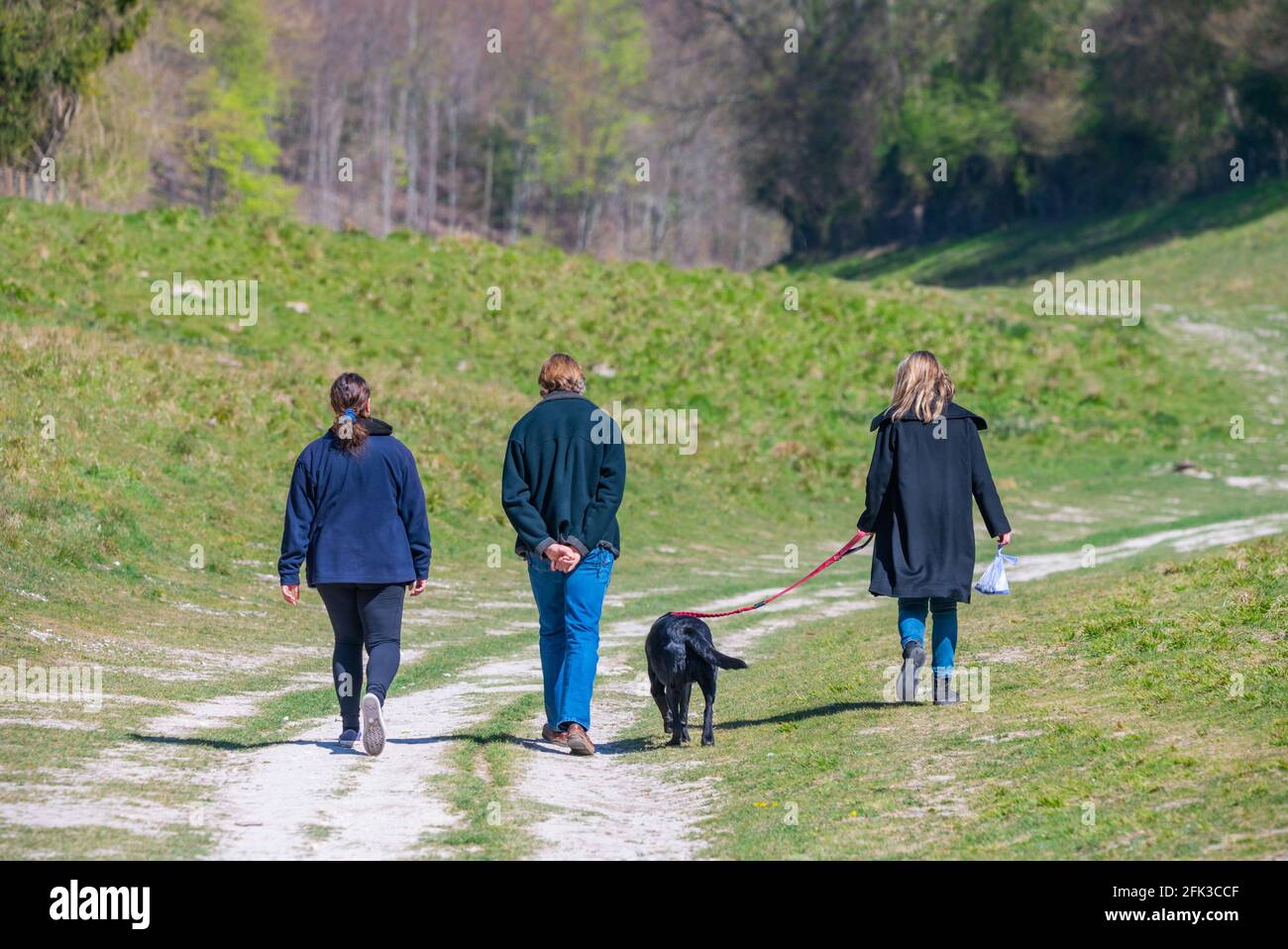 Eine kleine Gruppe von 3 Personen, die im Frühling in West Sussex, England, Großbritannien, einen Hund auf Gras auf dem britischen Land spazieren gehen. Stockfoto