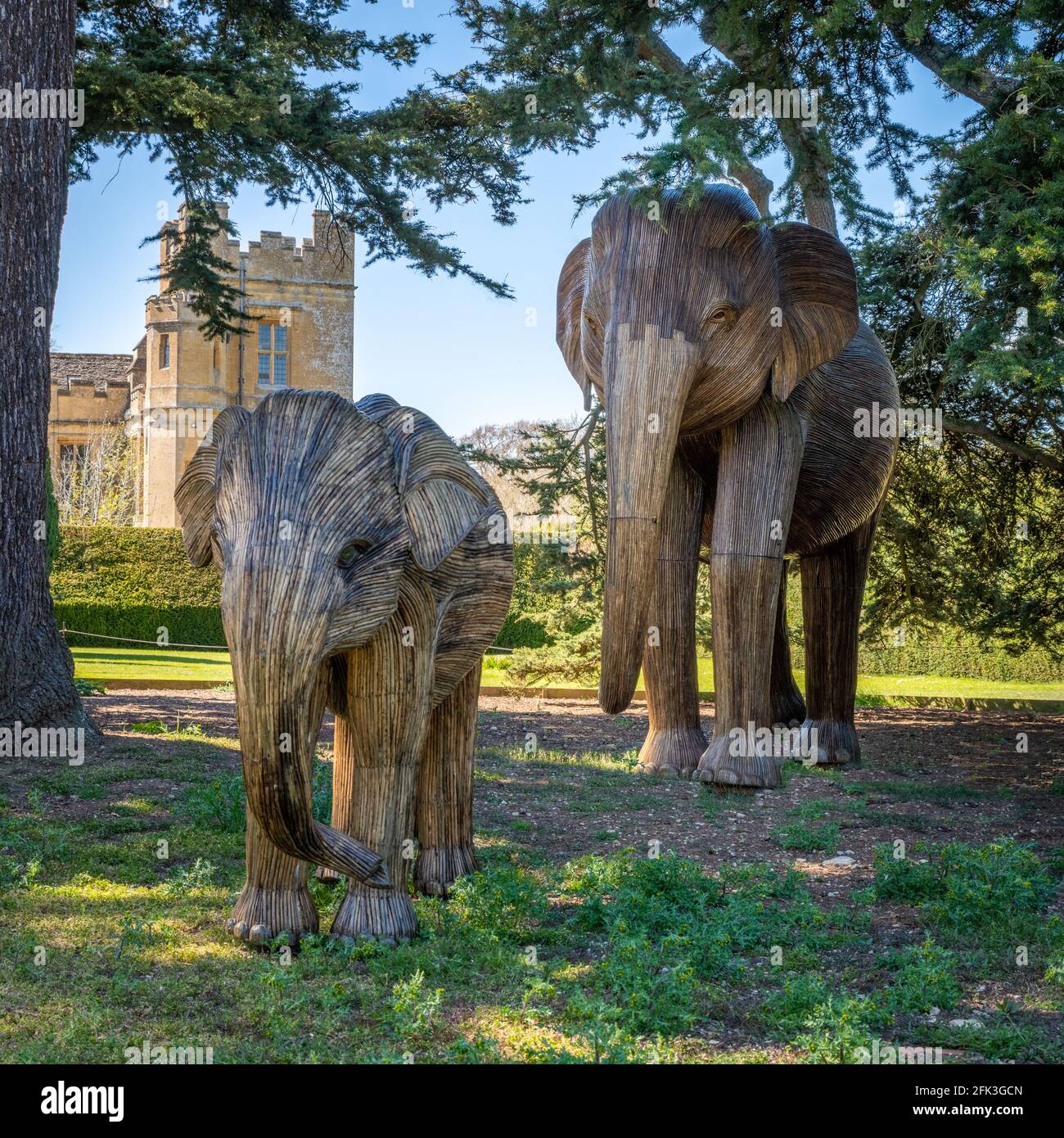 Elephant Family in Sudeley Castle Gloucestershire vor dem Beitritt zu 100 In London Parks Stockfoto