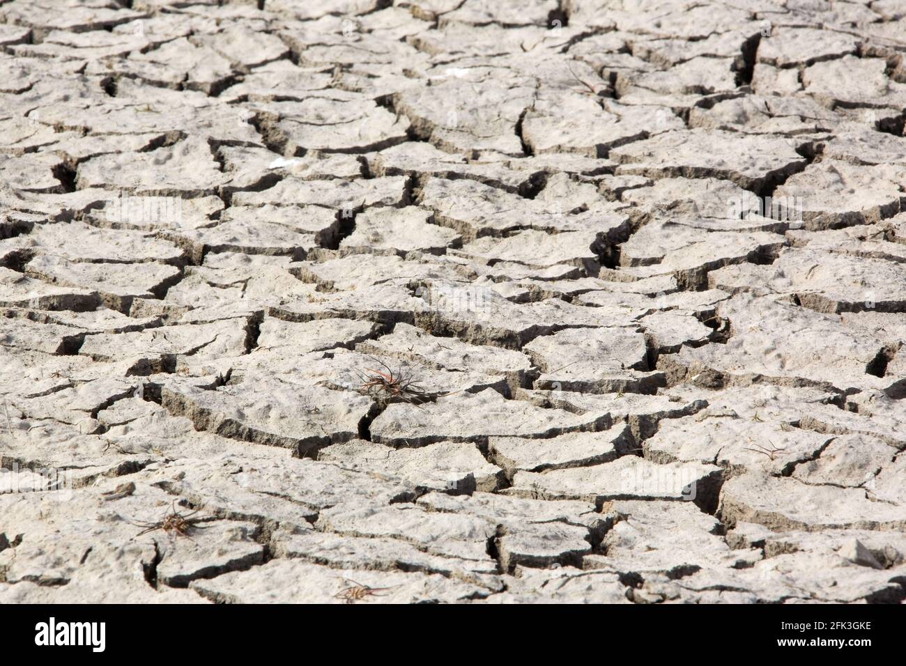Das ausgetrocknete Flussbett zeigt Risse während einer Dürre Stockfoto