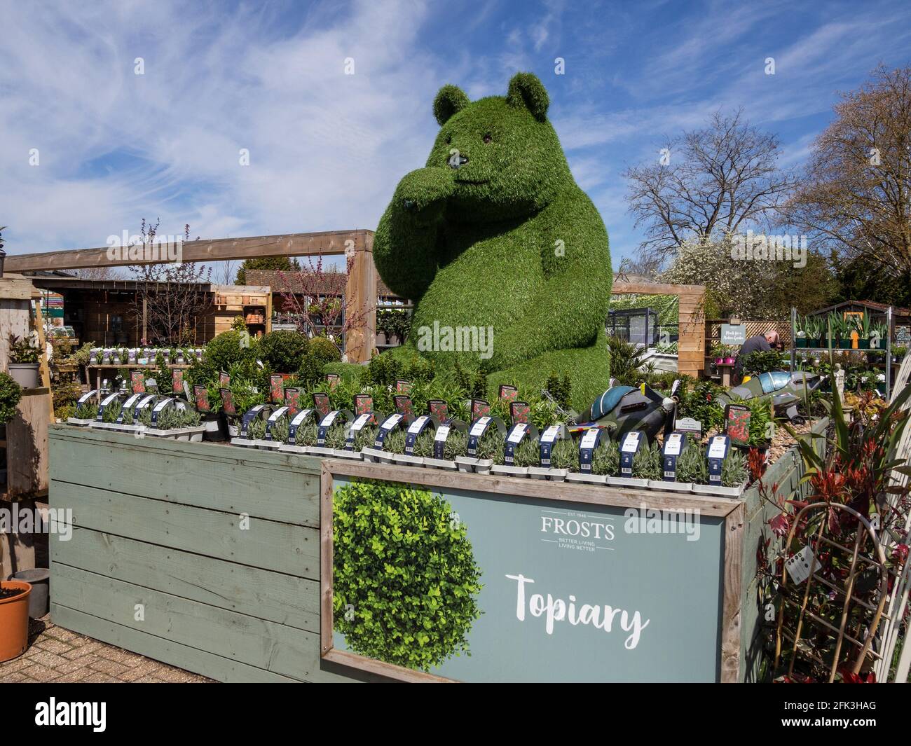 Frosts Garden Center, Woburn Sands, Bedfordshire, Großbritannien; großer topiary Bear und topiary Beschilderung Stockfoto