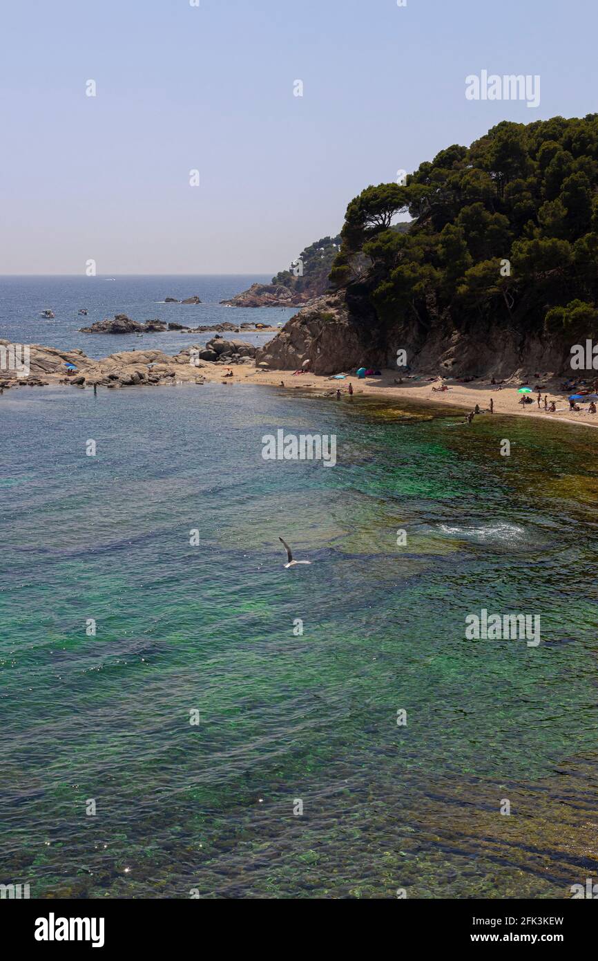 Strand an der costa brava in nordspanien an einem Klarer Sommertag Stockfoto