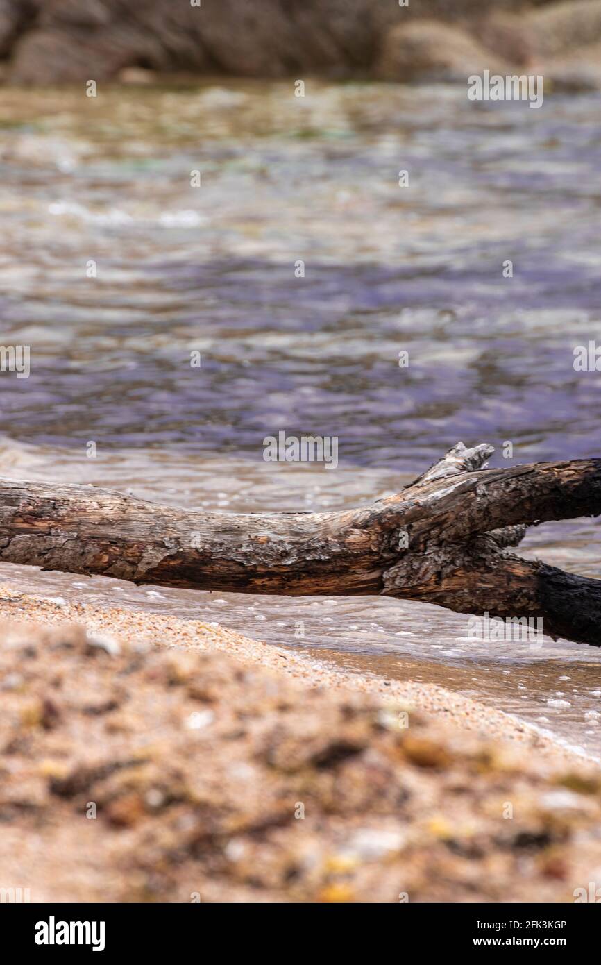 Strand an der costa brava in nordspanien an einem Klarer Sommertag Stockfoto