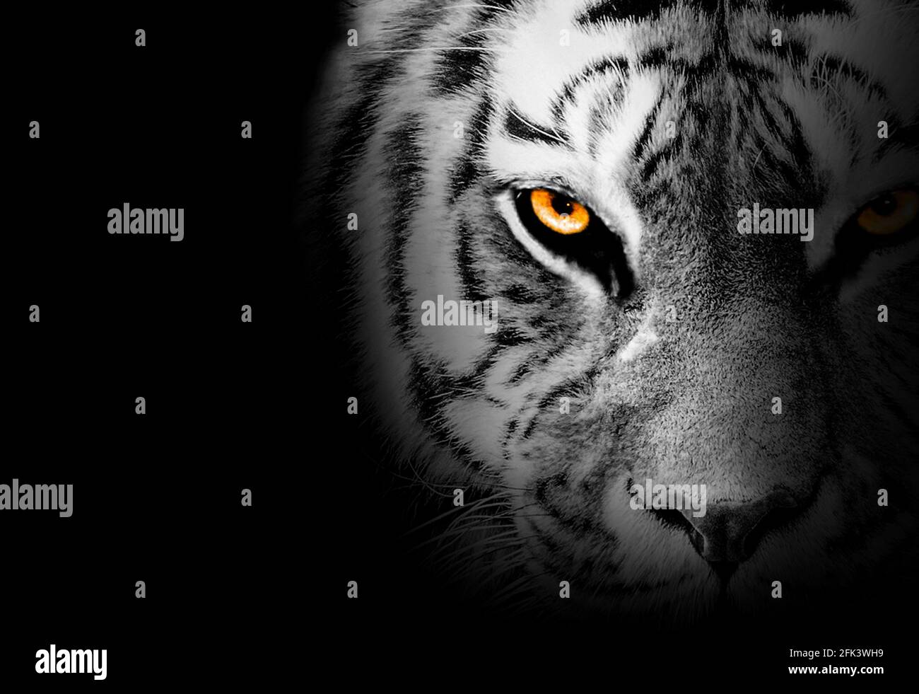 Tiger Gesicht Profil, Tier abstrakt Stockfoto