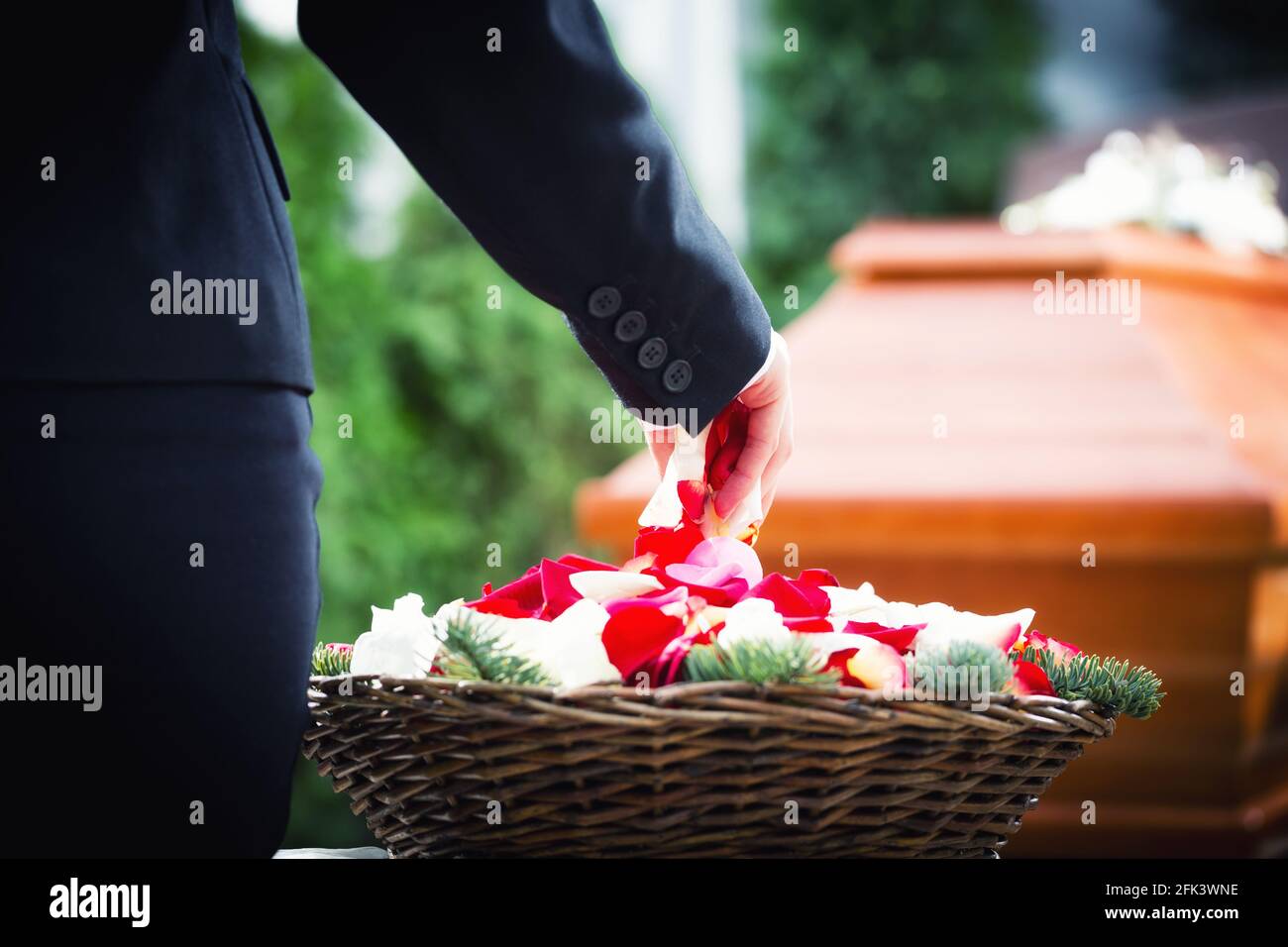 Frau auf Beerdigung, Rosenblätter auf dem Sarg Stockfoto