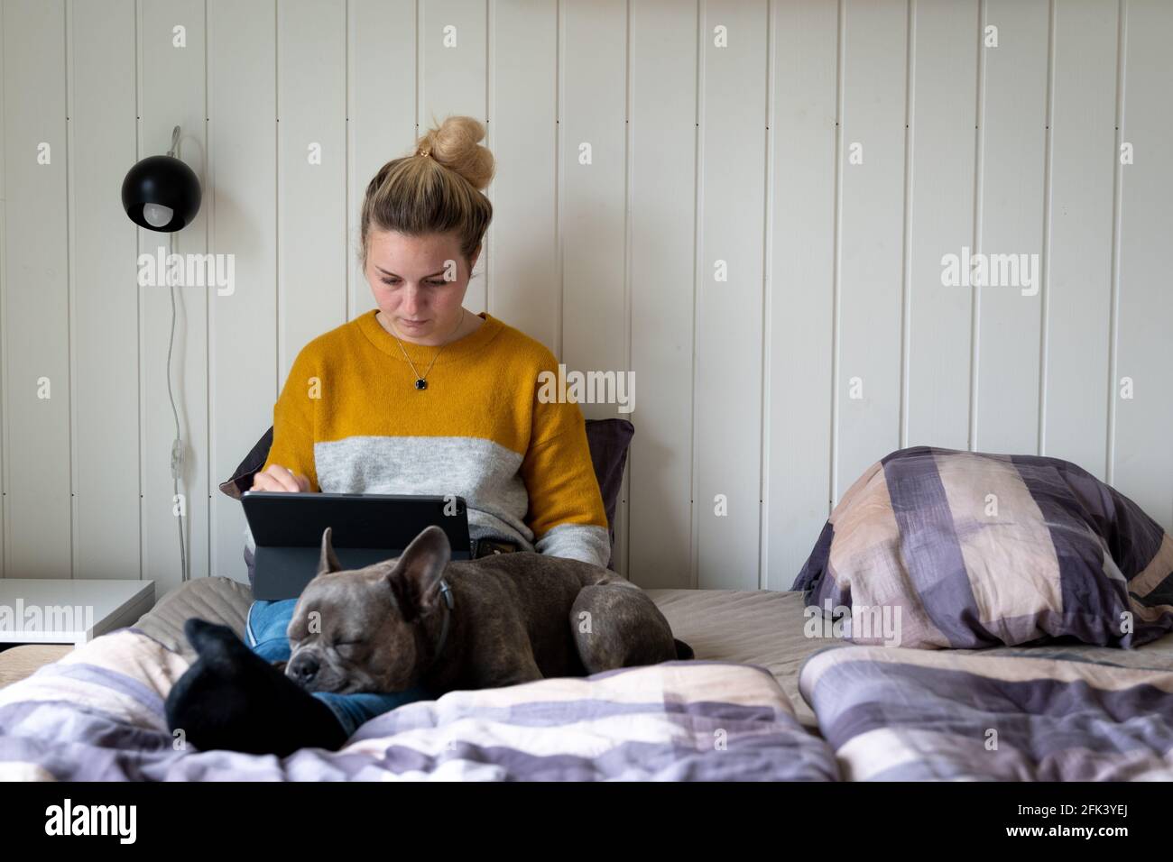 Attraktive blonde Frau, die im Heimbüro auf einem Tablet im Bett arbeitet, Hund an ihrer Seite Stockfoto