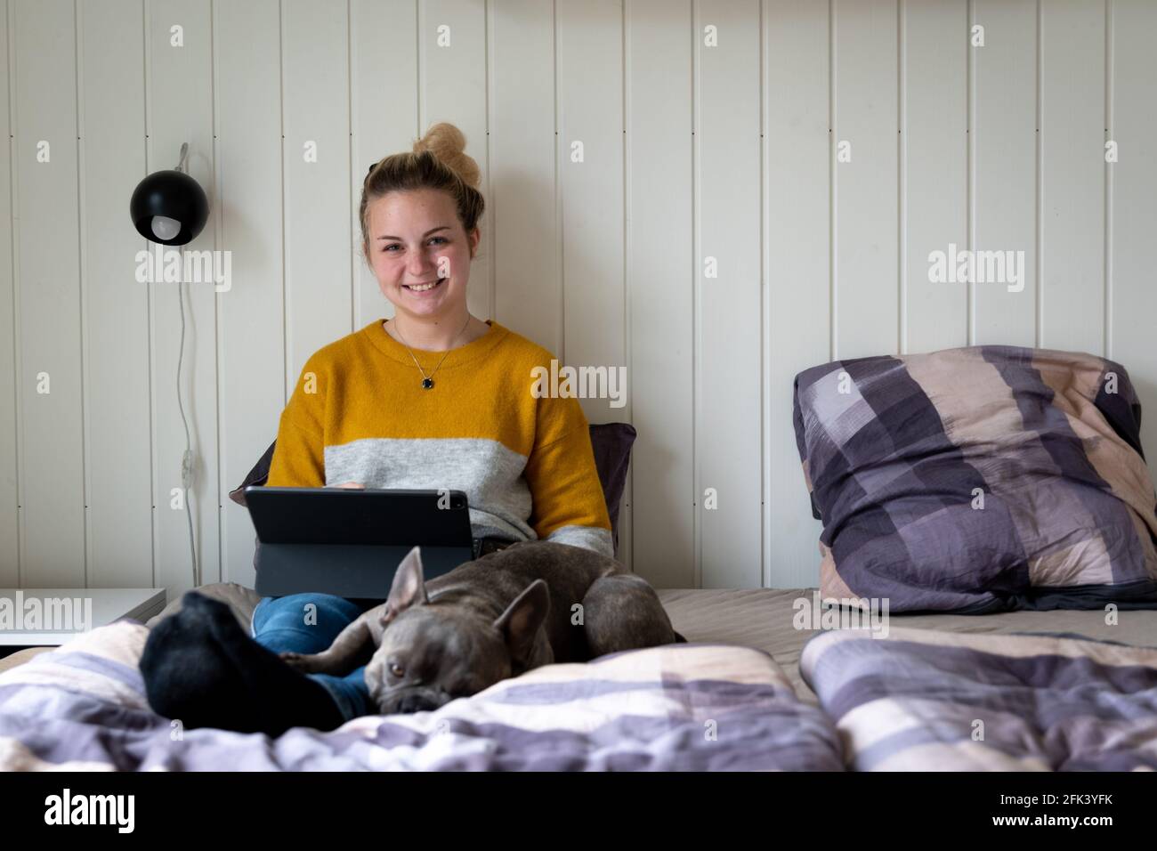 Attraktive blonde Frau, die im Heimbüro auf einem Tablet im Bett arbeitet, Hund an ihrer Seite Stockfoto