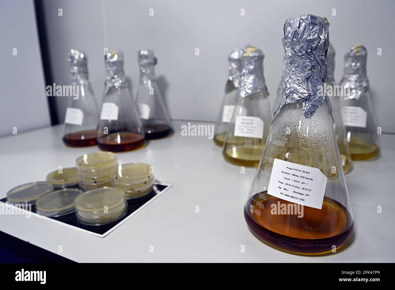 Die Abbildung zeigt die Produkte in marge eines königlichen Besuches in Eurogentec, einem Unternehmen, das im Zentrum der Entwicklung von Therapien gegen den coron steht Stockfoto