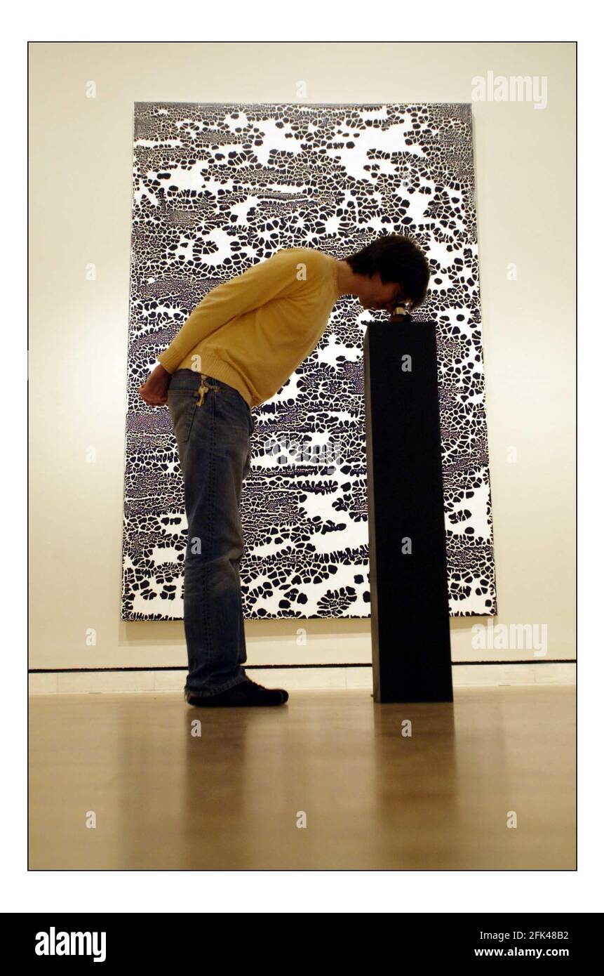'Premiums'....Diese kostenlose Ausstellung, die Mi 2. Bis so 13. februar an der Royal Academy of Arts eröffnet, ist eine Auswahl der besten zeitgenössischen Arbeiten, die von Studenten des zweiten Studienjahres an den Royal Academy Schools produziert werden. Siebzehn junge Künstler präsentieren Arbeiten in verschiedenen Medien.EIN Besucher schaut sich Liane Langs sterio scope an, das "ruht" vor einem Gemälde von Richard Johnson pic David Sandison 31/1/2005 Stockfoto