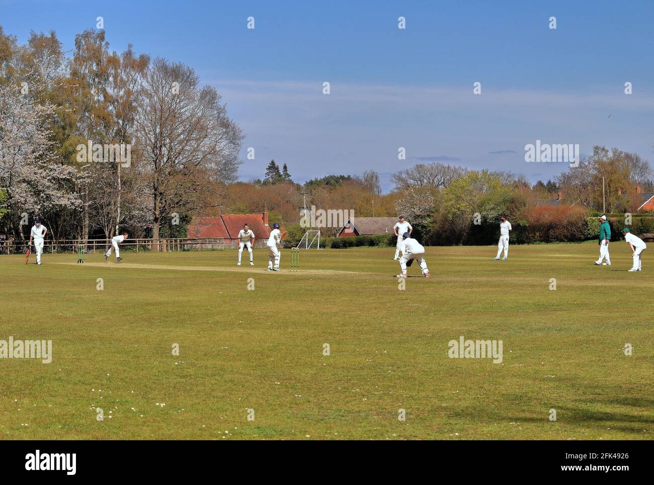 Cricketspieler in Aktion bei einem englischen Cricket-Spiel auf dem Dorfgrün Stockfoto