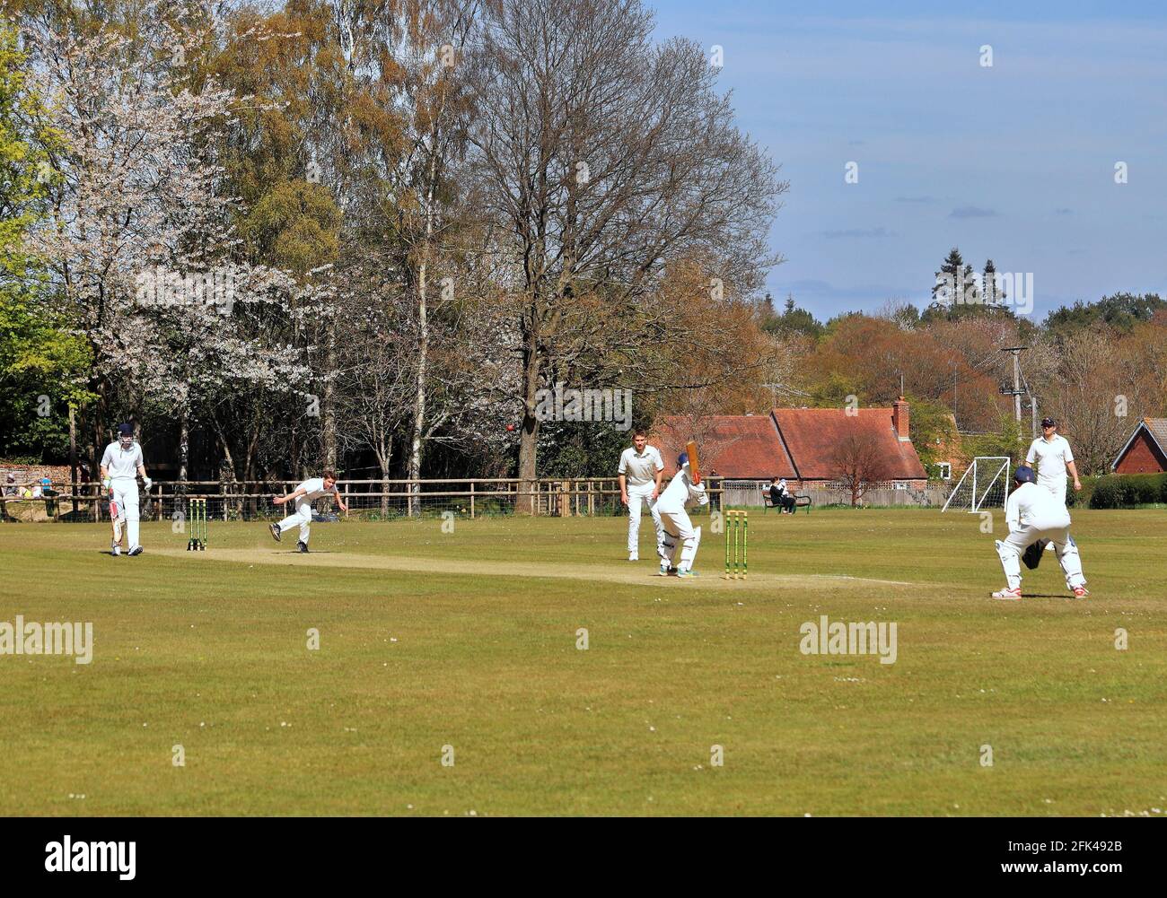 Cricketspieler in Aktion bei einem englischen Cricket-Spiel auf dem Dorfgrün Stockfoto