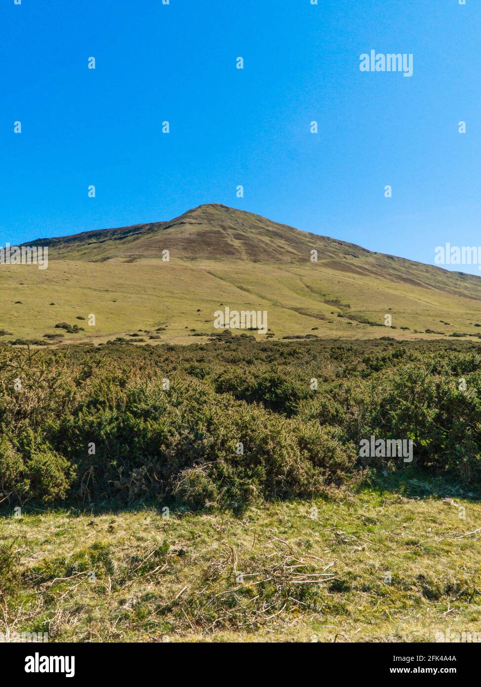 Blick auf den flachen Kamm von Hay Bluff, der Teil der Black Mountains ist, Powys Wales UK. April 2021. Stockfoto