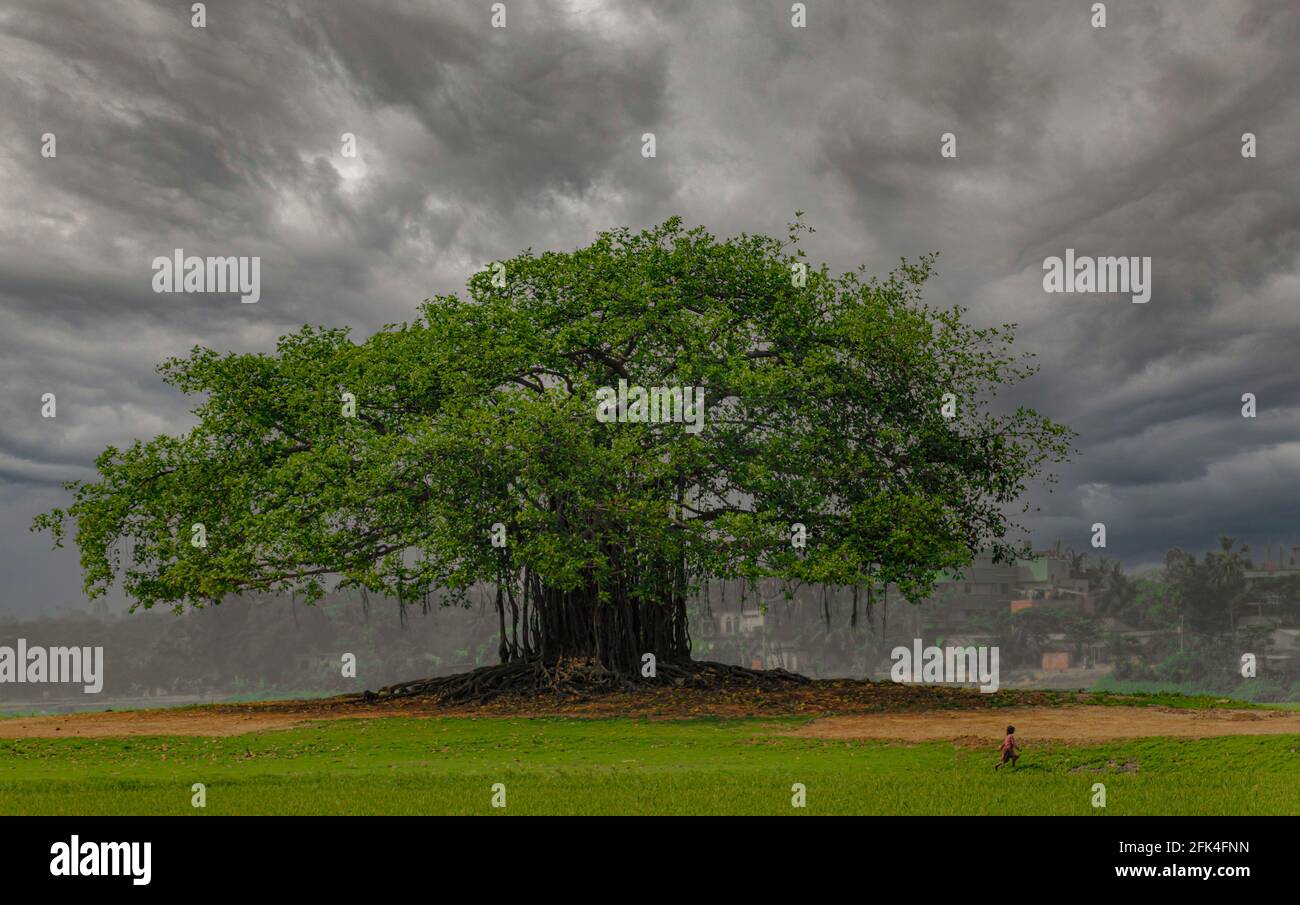 Beautiful World Stockfoto