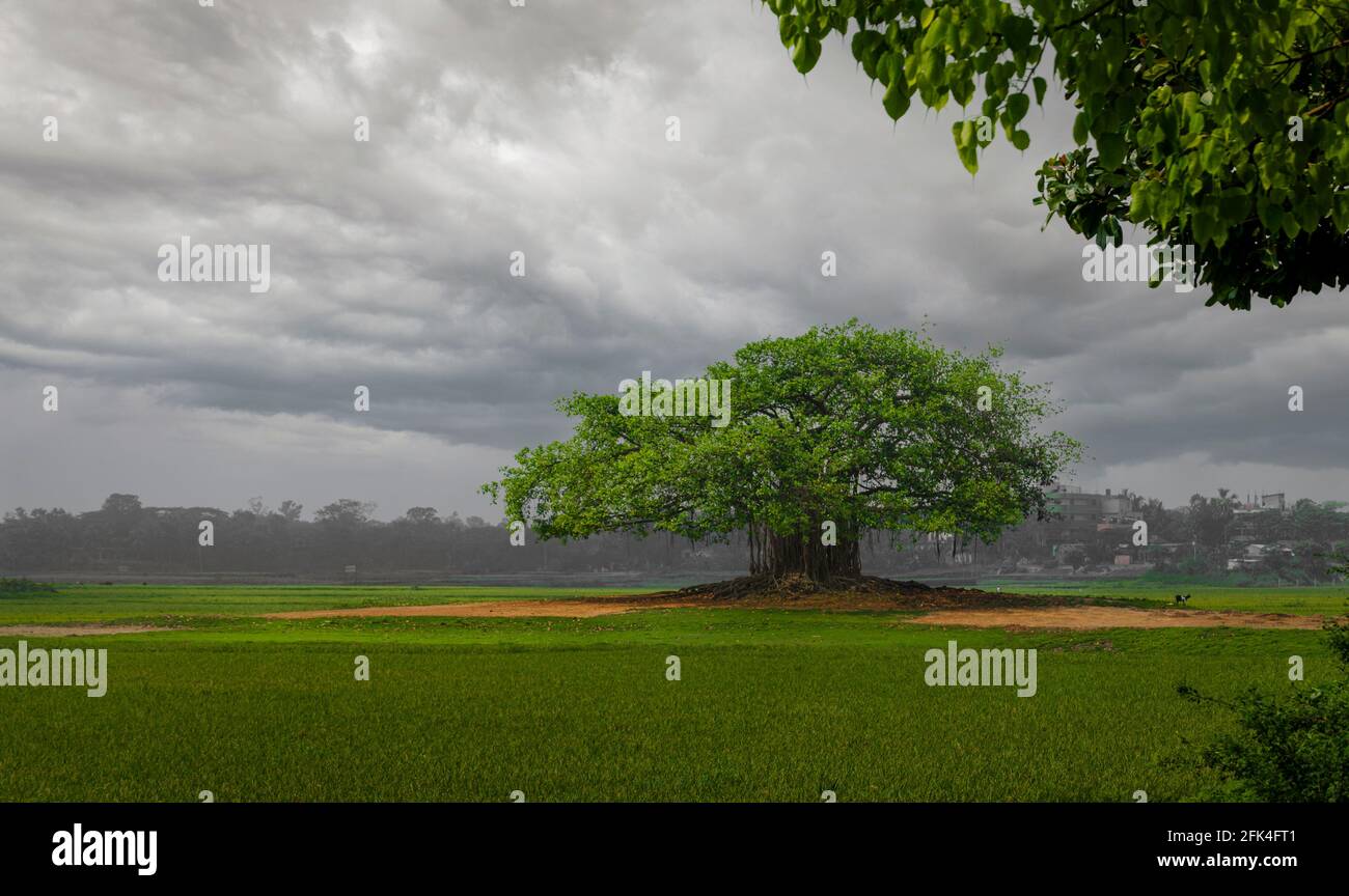 Beautiful World Stockfoto