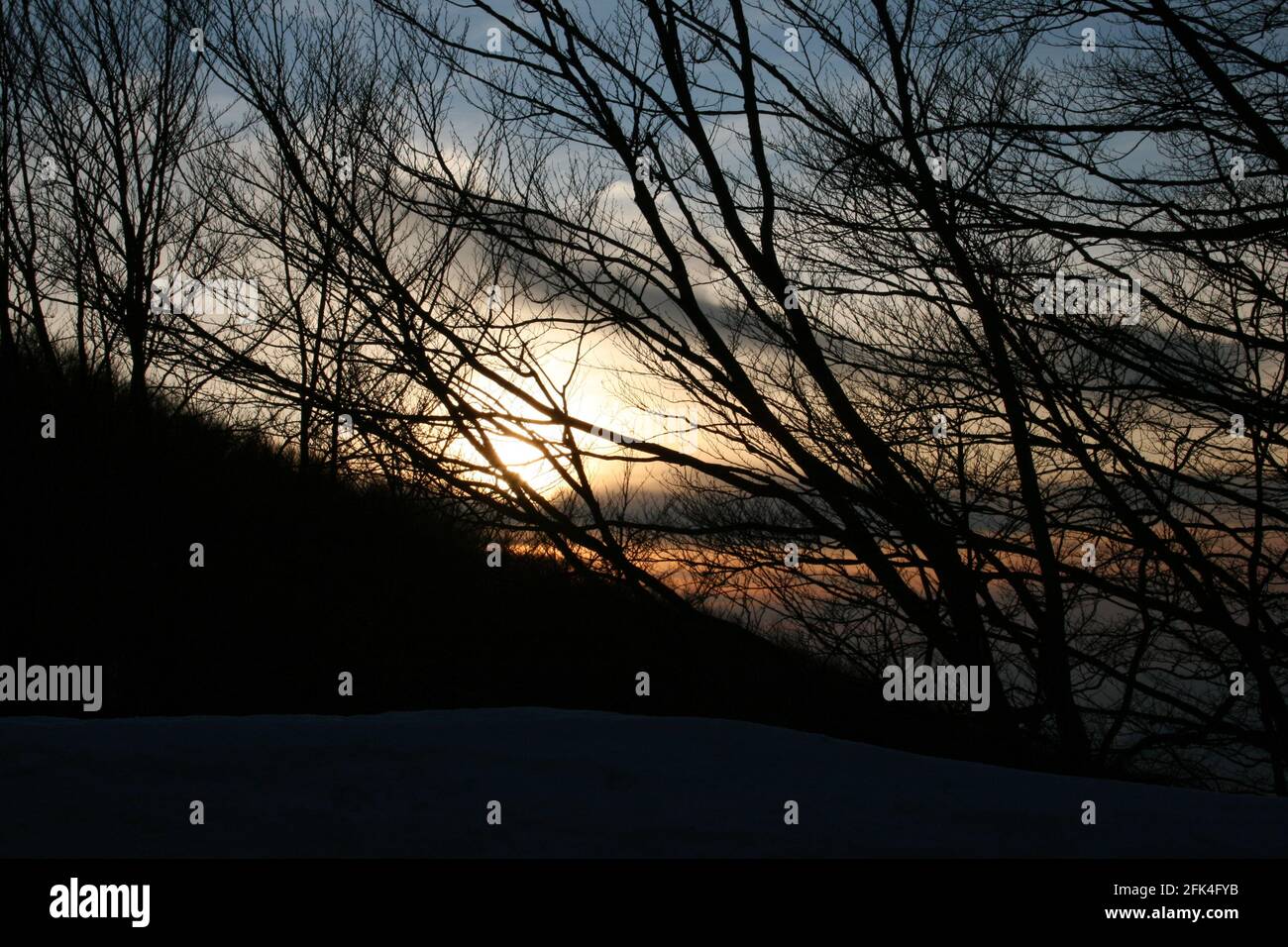 Tramonto nel bosco Stockfoto