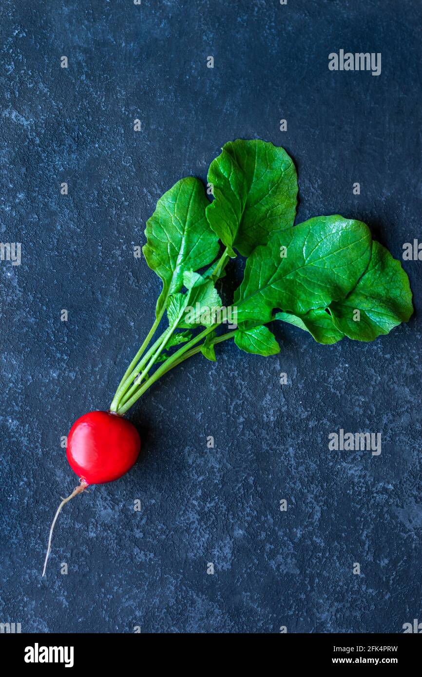 Rettich von oben -Fotos und -Bildmaterial in hoher Auflösung – Alamy