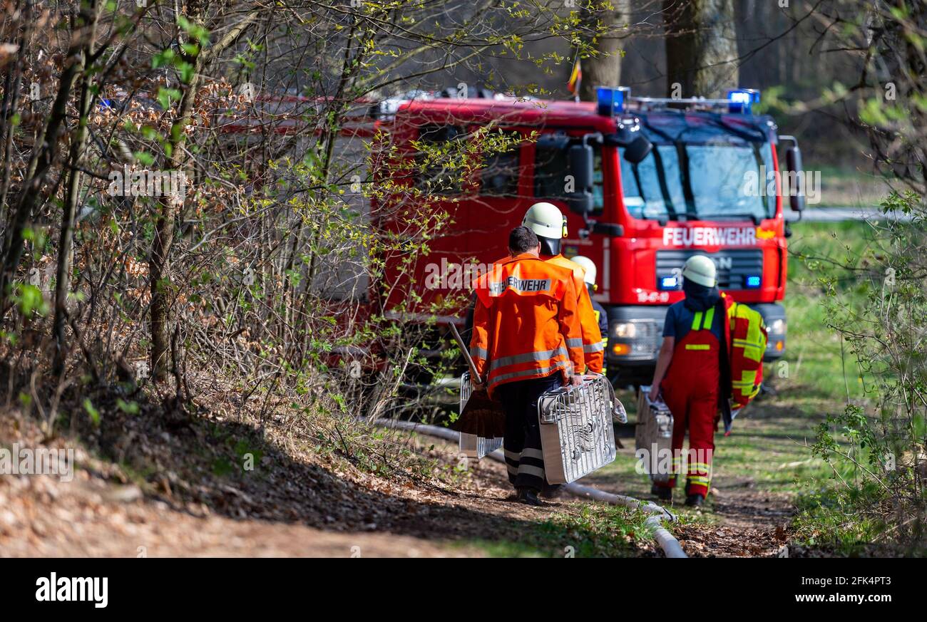 Melbeck, Deutschland. April 2021. Feuerwehrleute gehen bei einem Waldbrand zum Einsatzfahrzeug. Durch Zufall waren nach einer Übung Einsatzfahrzeuge der Bundespolizei vorbeigefahren. Daher musste von der Feuerwehr kein Shuttle-Verkehr eingerichtet werden und die Brände konnten schnell gelöscht werden. Die Ursache der Brände war zunächst unklar. Quelle: Philipp Schulze/dpa/Alamy Live News Stockfoto