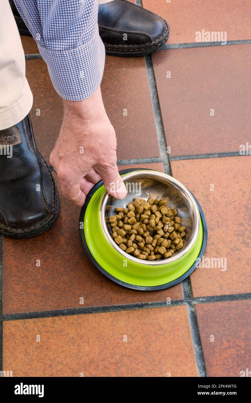 Ein Teller Hundefutter wird auf den Boden gestellt. - trockenes Kibble Stockfoto