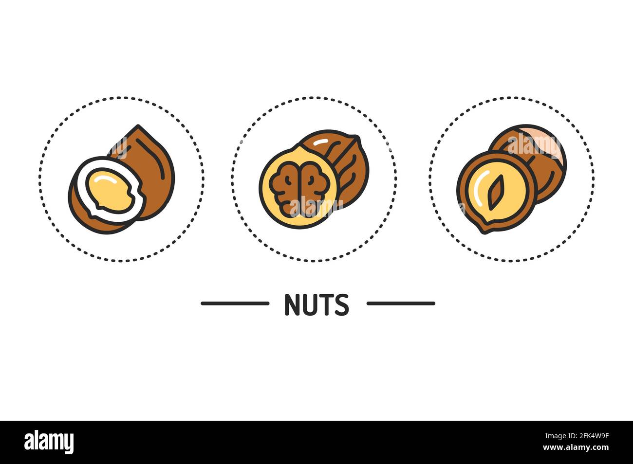 NUTS-Farblinien-Symbole Konzept. Isoliertes Vektorelement. Skizzieren Sie Piktogramme für Webseite, mobile App, Werbung Stock Vektor