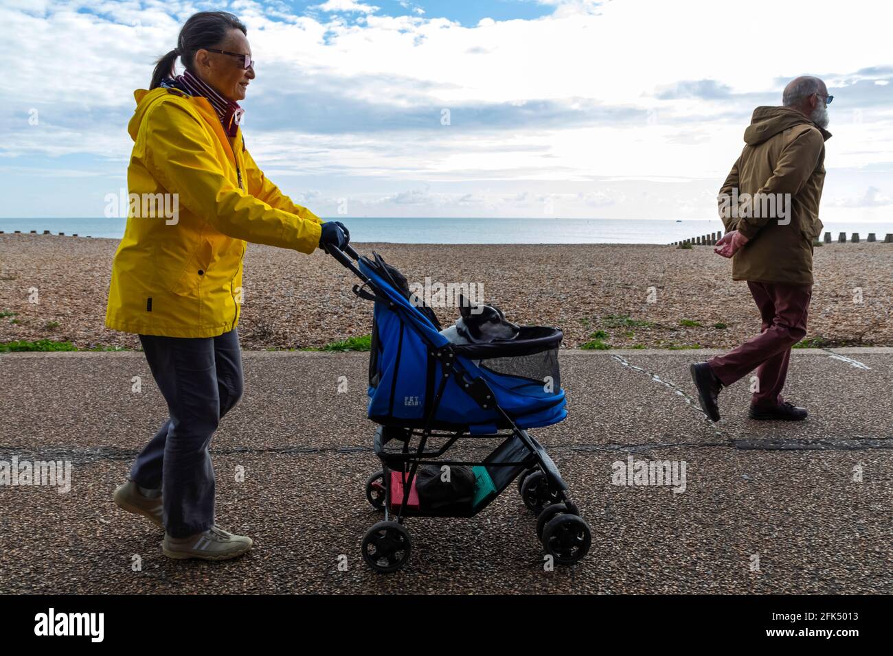 England, East Sussex, Eastbourne, Frau, die auf der Uferpromenade von Eastbourne unterwegs ist, Buggy mit Hund im Inneren schieben *** Ortsüberschrift *** Großbritannien, Großbritannien Stockfoto