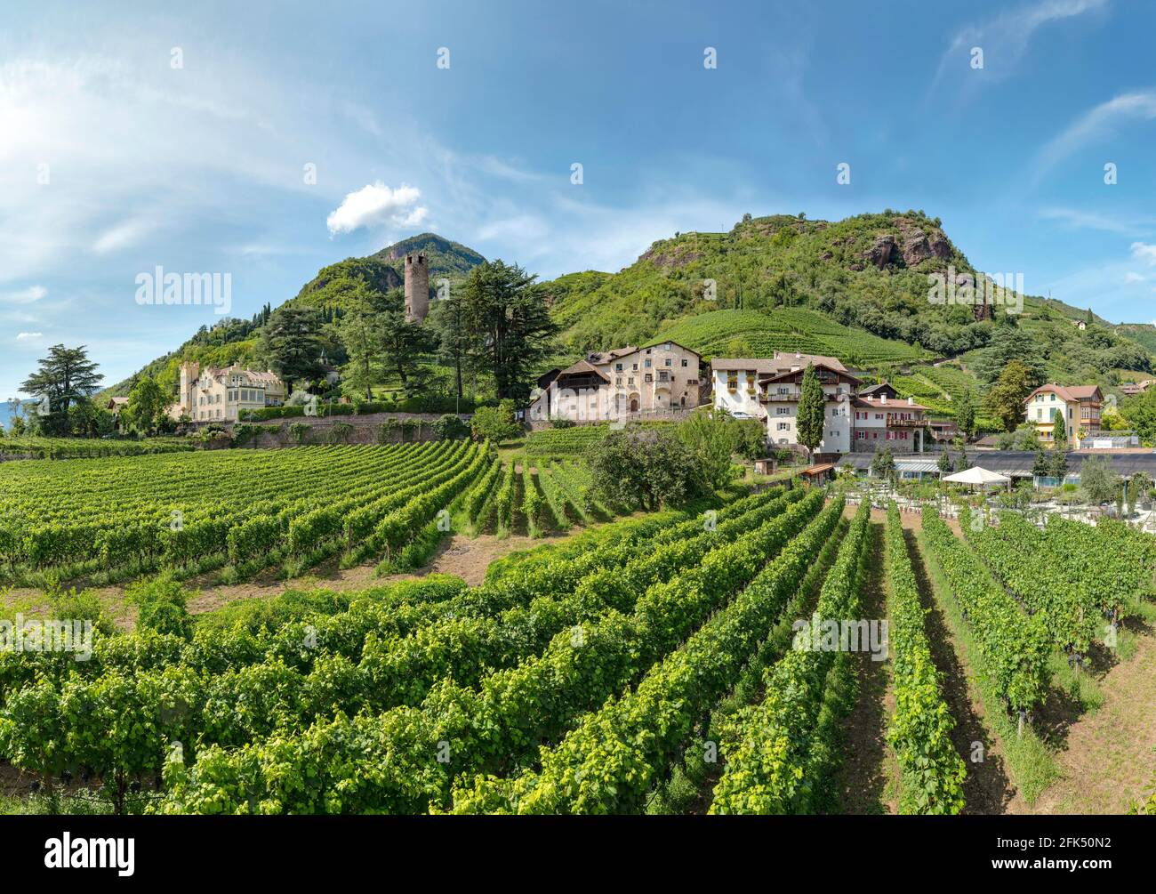 Burg Treuenstein - Torre Druso *** Ortsüberschrift *** Bozen - Bozen, , Italien, Landschaft, Sommer, Berge, Hügel, Weinberge, Stockfoto