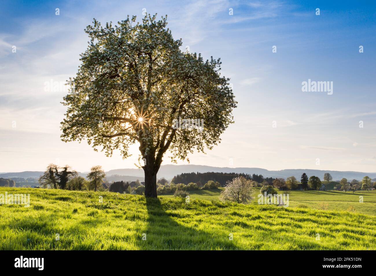 Zürcher Oberland mit Pfannenstiel, Schweiz Stockfoto