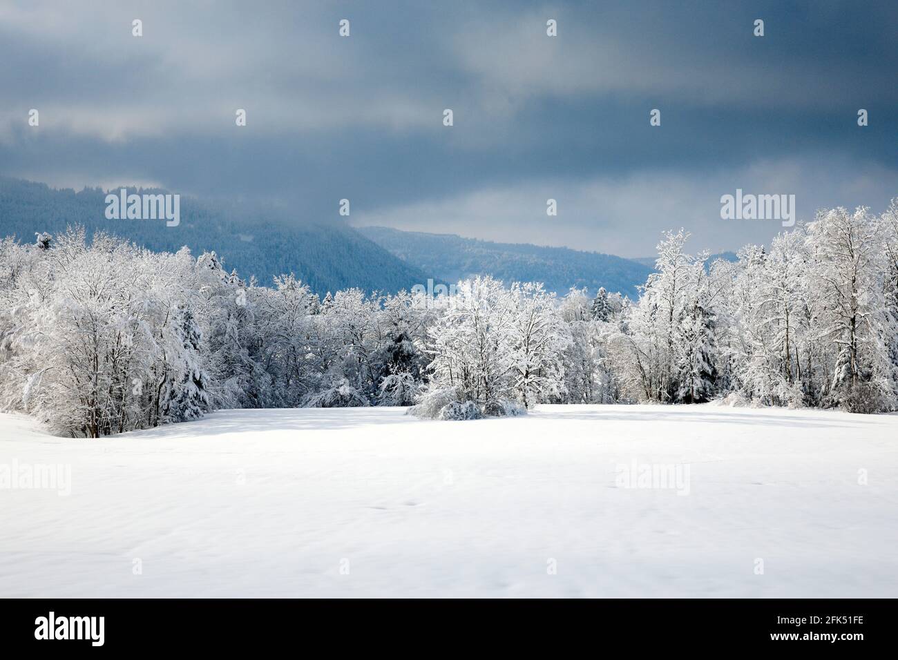 Verscheite Landschaft in Oberäger, Zug, Schweiz Stockfoto