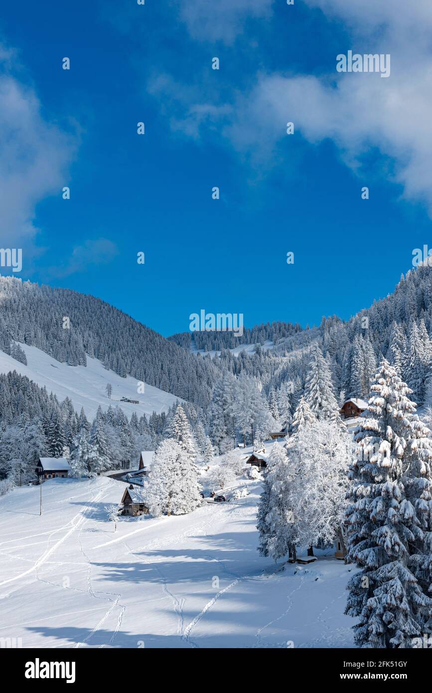 Schweiz, Waadt, Waadt, hiver, Winter, neige, Schnee, Snow, Orgevaux, Les Avants, montagnes, Berge, Berge, Maisons, Hauser, Häuser, Chalet *** L Stockfoto
