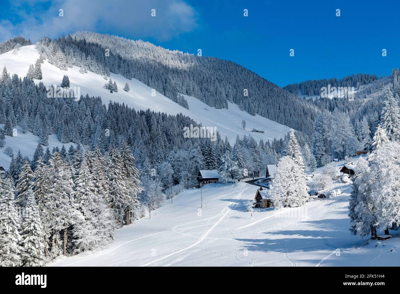 Schweiz, Waadt, Waadt, hiver, Winter, neige, Schnee, Snow, Orgevaux, Les Avants, montagnes, Berge, Berge, Maisons, Hauser, Häuser, Chalet *** L Stockfoto