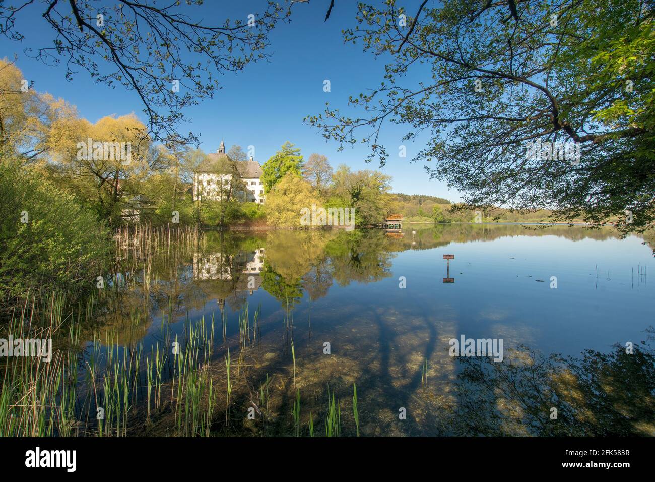 Petting Am See