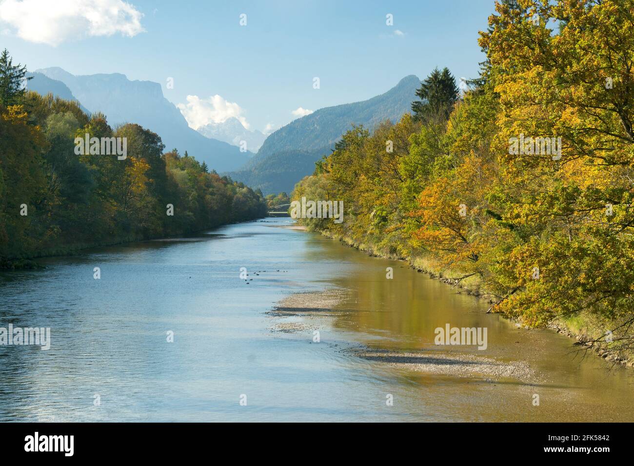 Die herbstliche Saalach im Gemeindegebiet von Piding Stockfoto